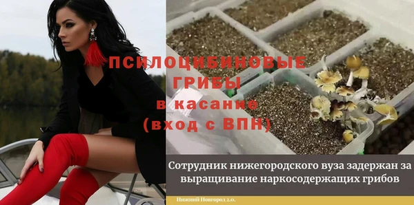 амф Балахна