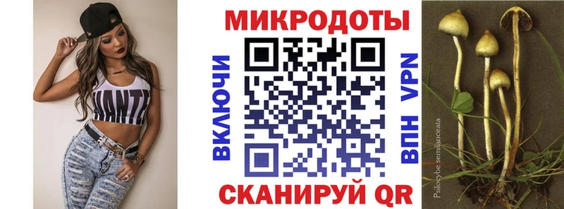 Галлюциногенные грибы Cubensis  как найти   Балашов 
